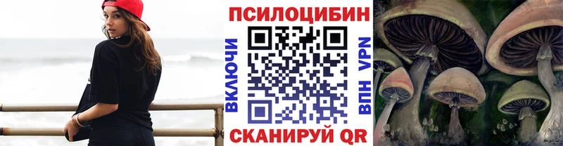 Псилоцибиновые грибы Psilocybe  цена наркотик  Югорск 